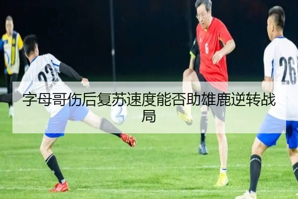 字母哥伤后复苏速度能否助雄鹿逆转战局